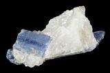 Vibrant Blue Kyanite Crystal Cluster - Brazil #97952-1